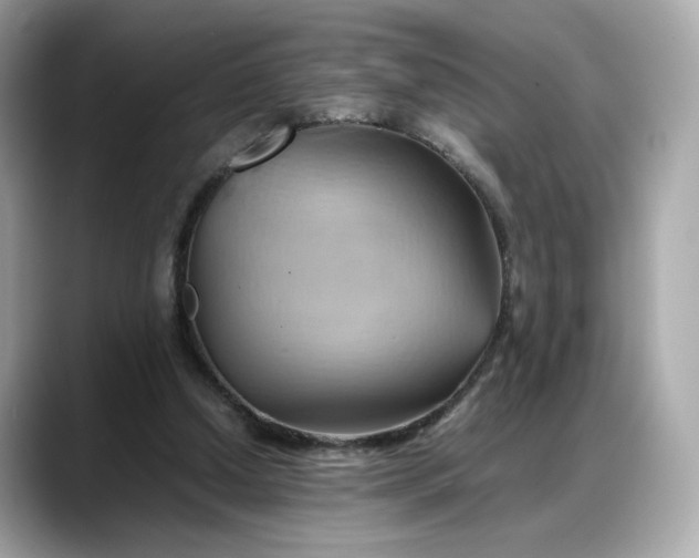 X0000088370250200706051046