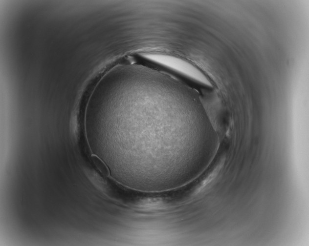 X0000088370252200706051046