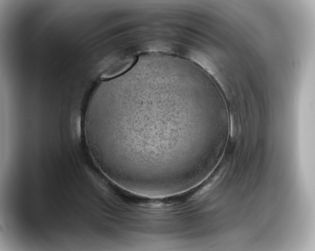 X0000088370253200706051046