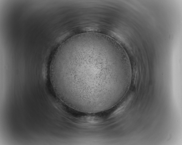 X0000088370255200706051046