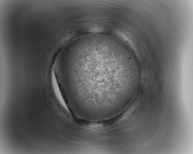 X0000088370257200706051046