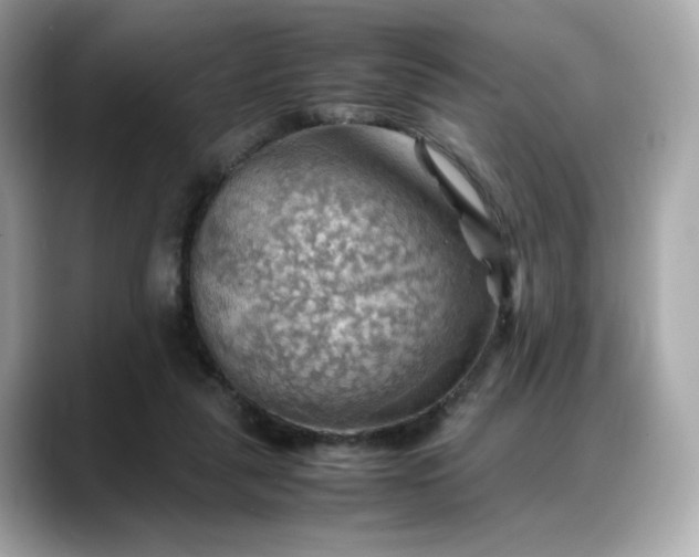 X0000088370259200706051046