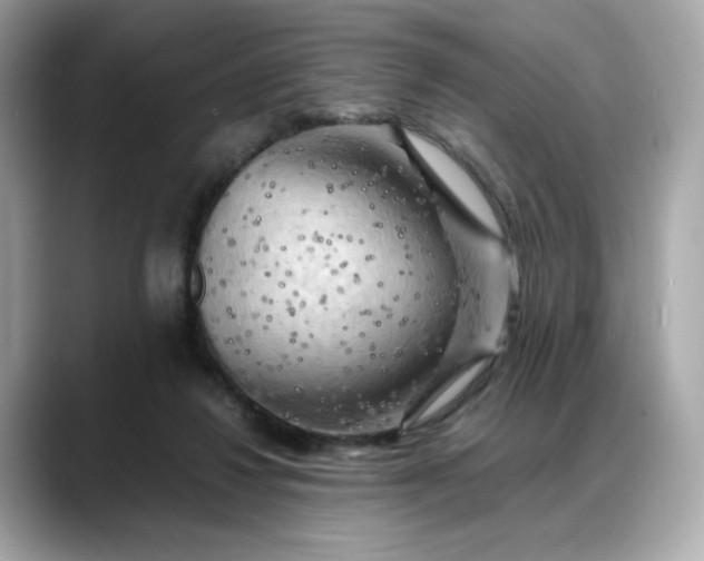 X0000088370260200706051046