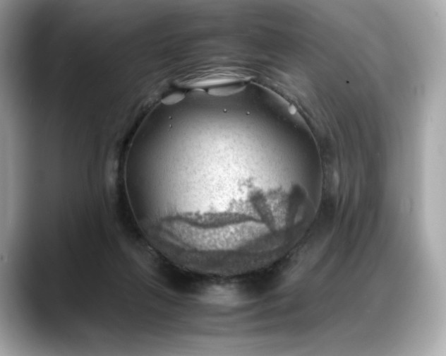 X0000088370263200706051046