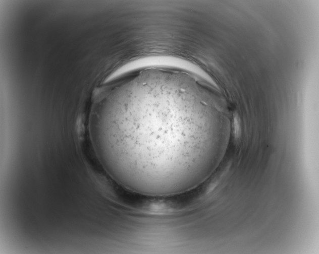 X0000088370264200706051046
