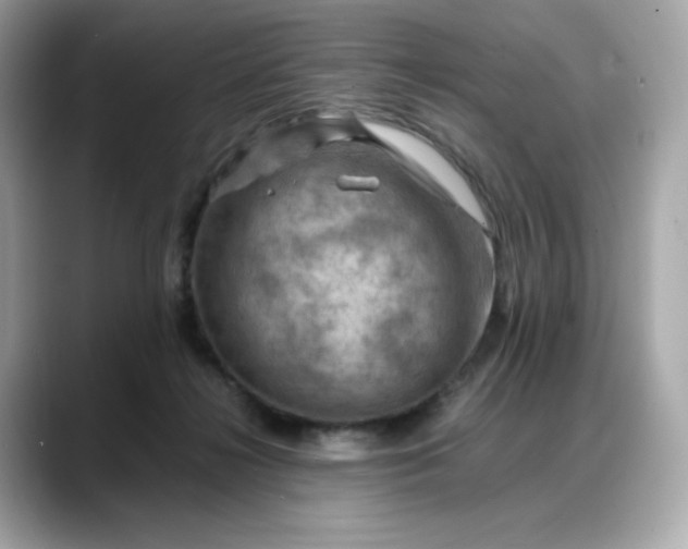 X0000088370268200706051047