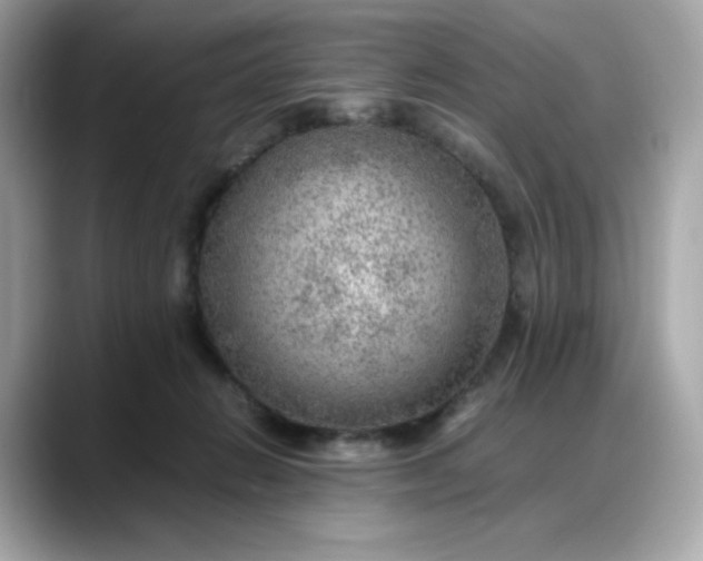 X0000088370270200706051047