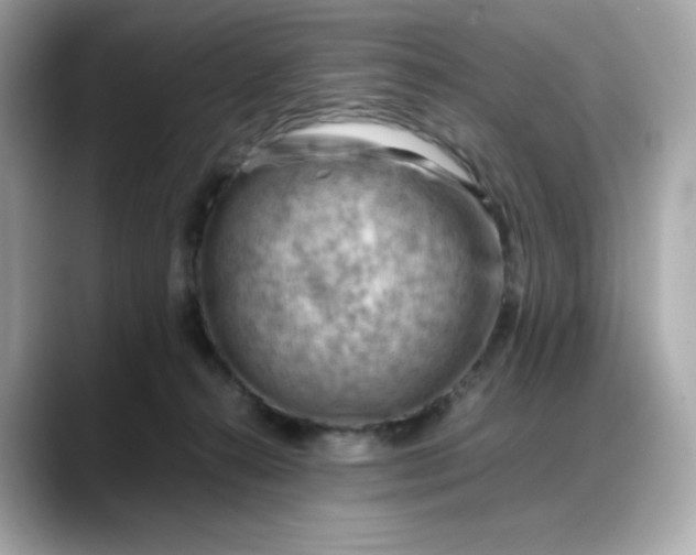 X0000088370272200706051047