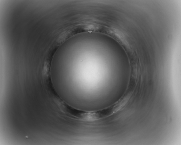 X0000088370273200706051047
