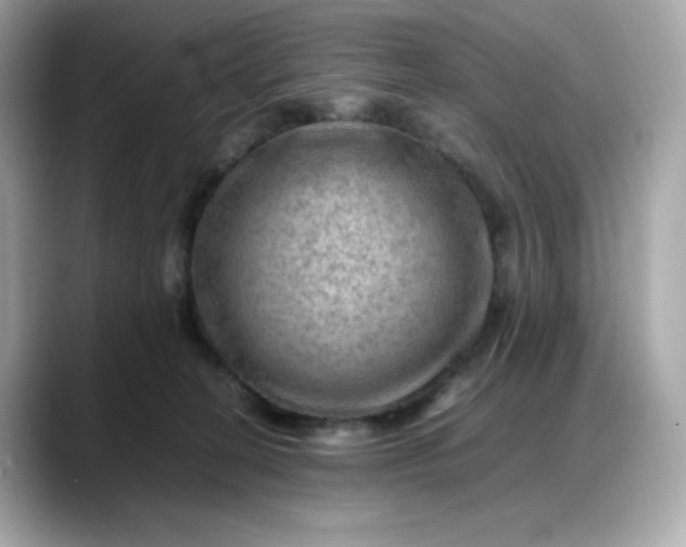 X0000088370274200706051047