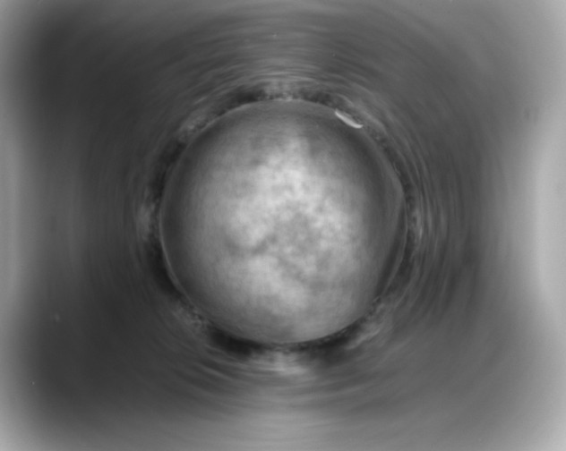 X0000088370276200706051047