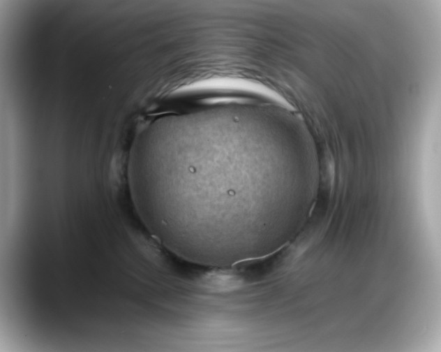 X0000088370280200706051047