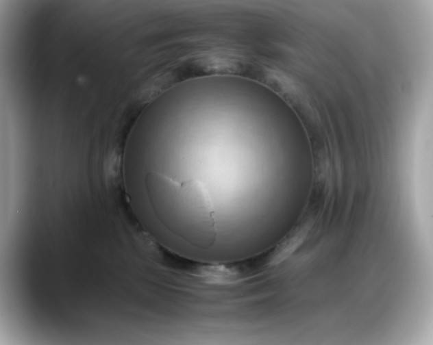 X0000088370281200706051047