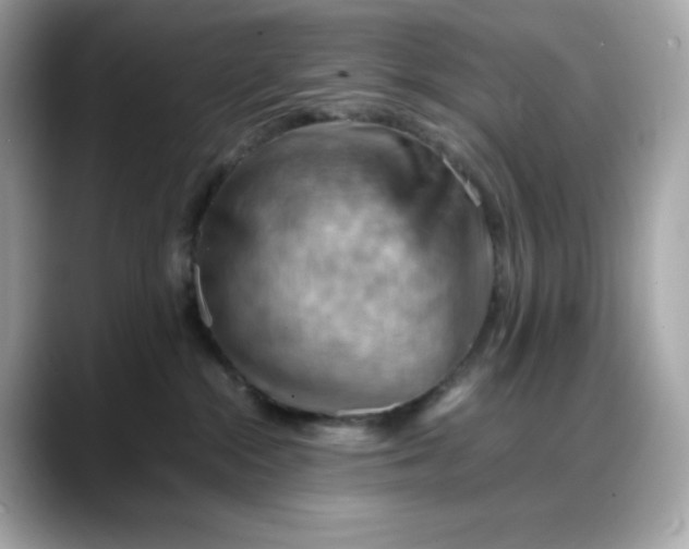 X0000088370284200706051047