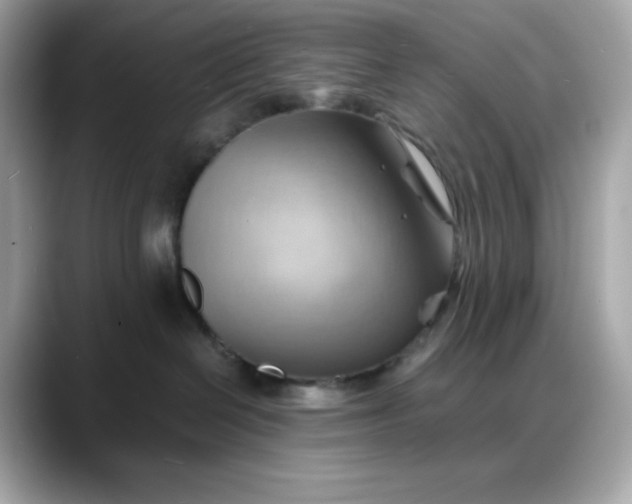 X0000088370286200706051047