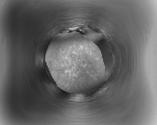 X0000088370288200706051047