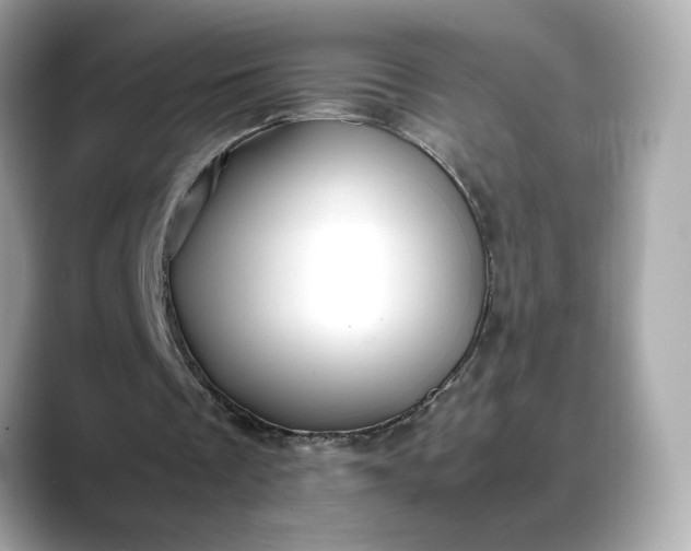X0000088370289200706051046
