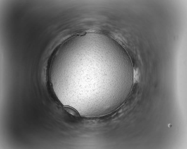 X0000088370291200706051046