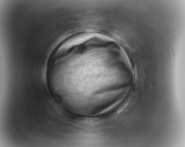 X0000088370292200706051046