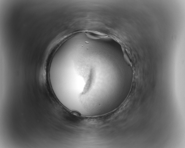 X0000088370294200706051046