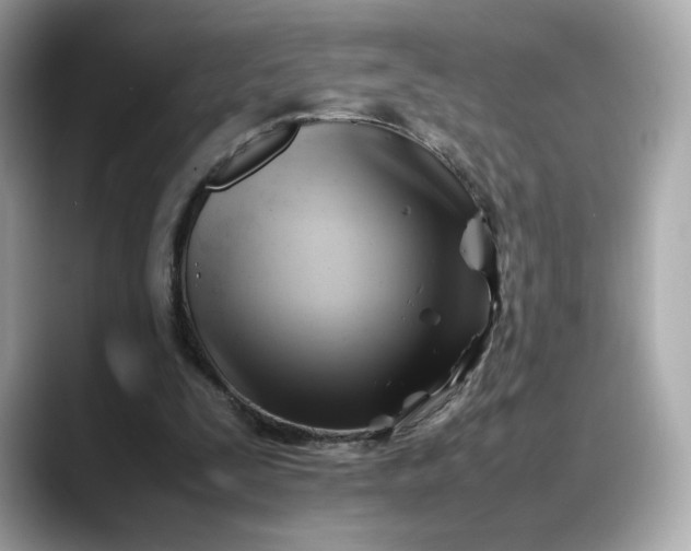 X0000088370295200706051046