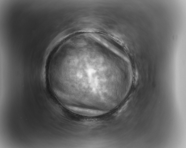 X0000088370296200706051046