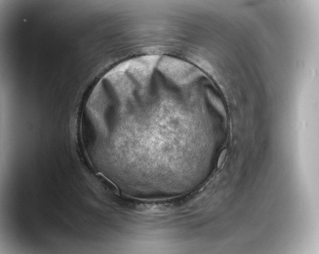 X0000088370297200706051046