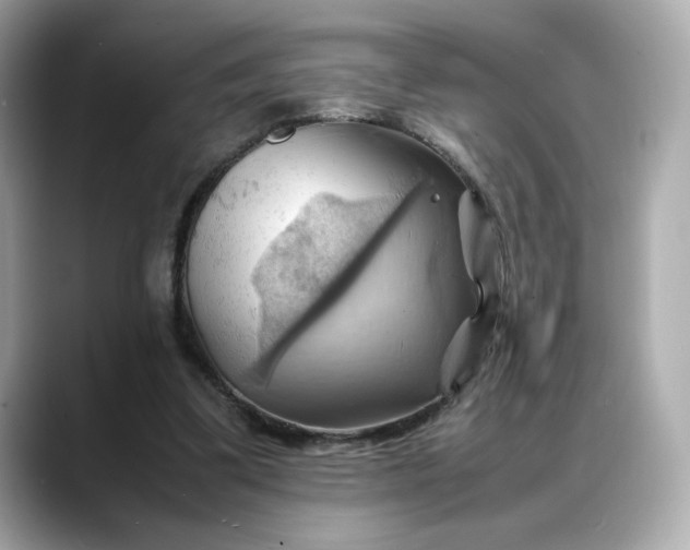 X0000088370299200706051046