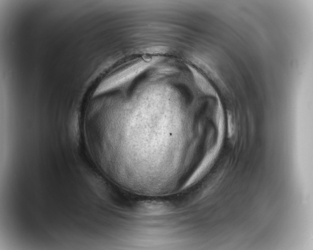 X0000088370300200706051046