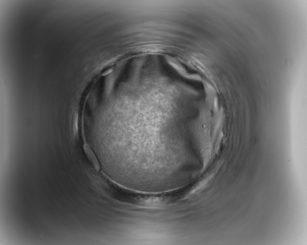 X0000088370301200706051046