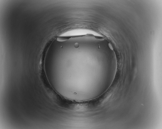 X0000088370303200706051046