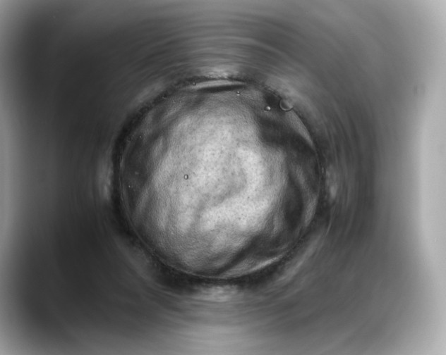 X0000088370304200706051046