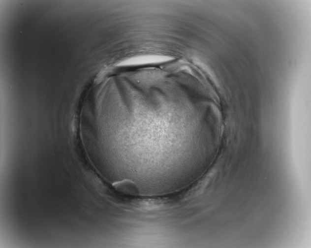 X0000088370305200706051046