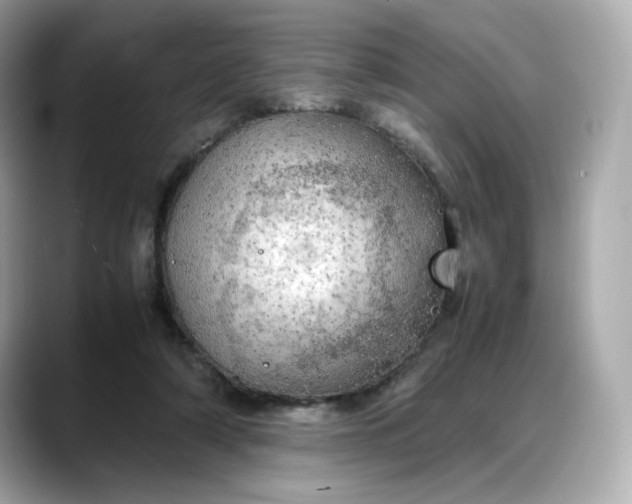 X0000088370306200706051046