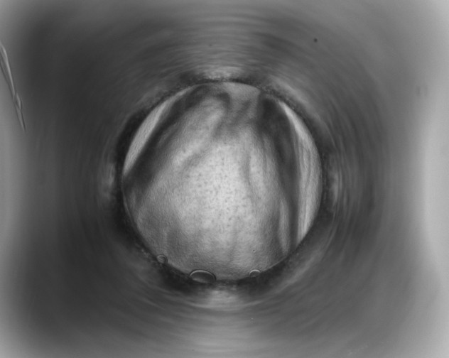 X0000088370308200706051046