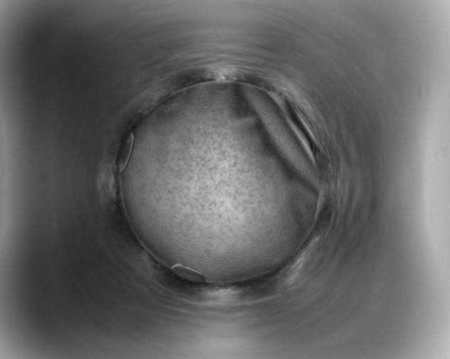 X0000088370313200706051046