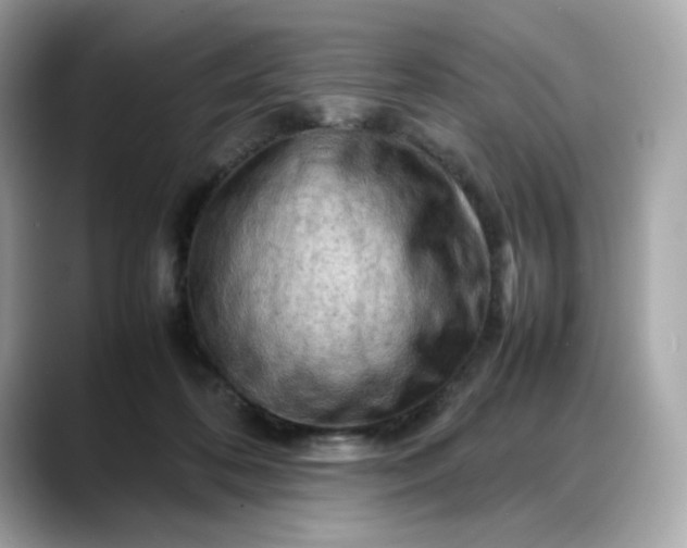 X0000088370316200706051046
