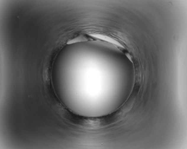 X0000088370317200706051046