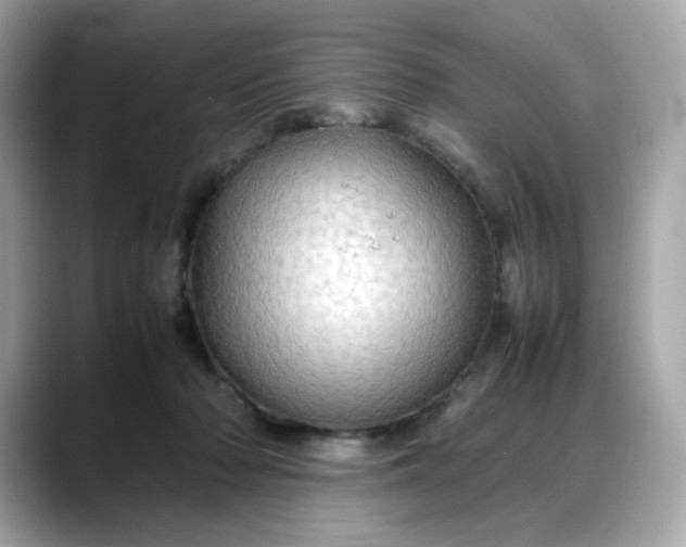 X0000088370318200706051046