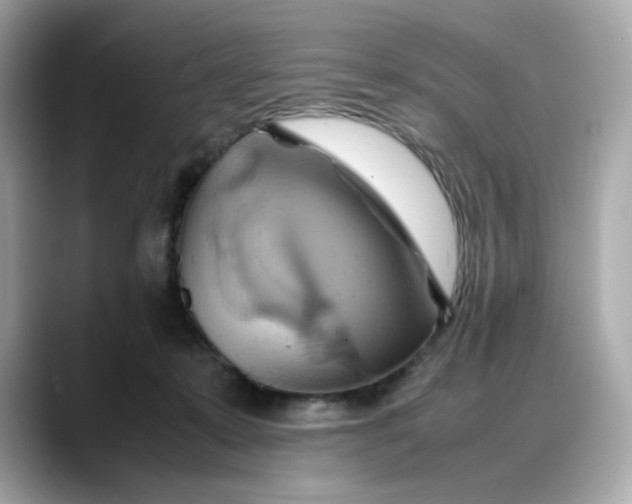 X0000088370319200706051046