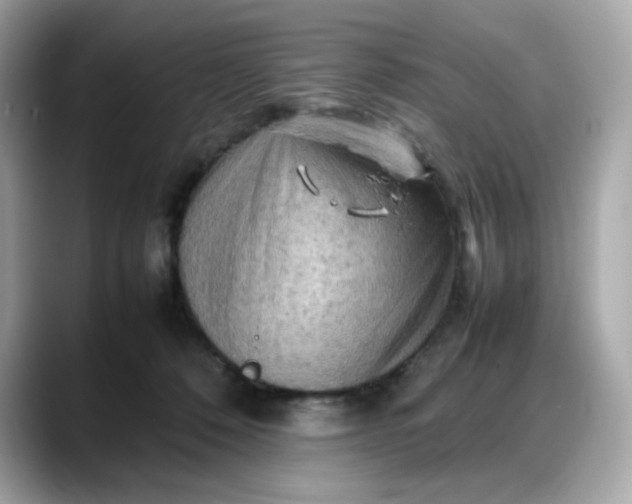 X0000088370320200706051046