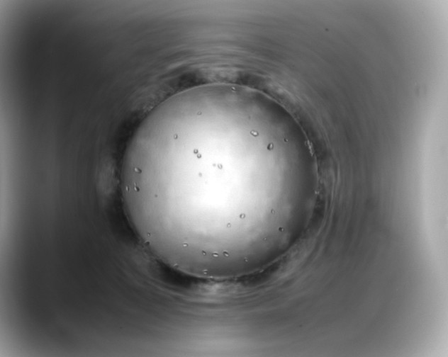 X0000088370323200706051046