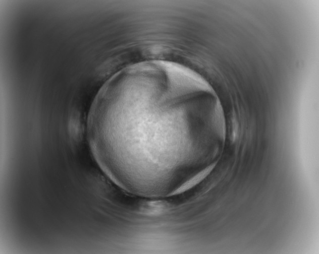 X0000088370324200706051046
