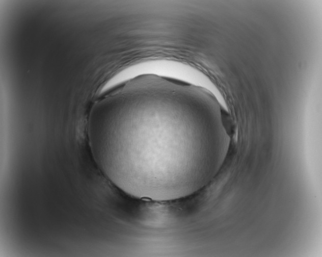 X0000088370325200706051046