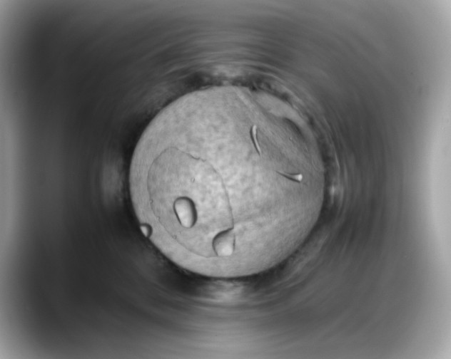 X0000088370328200706051046
