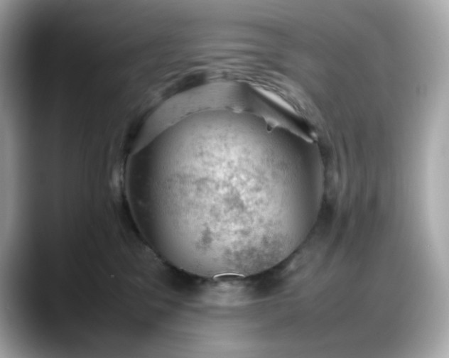 X0000088370329200706051046