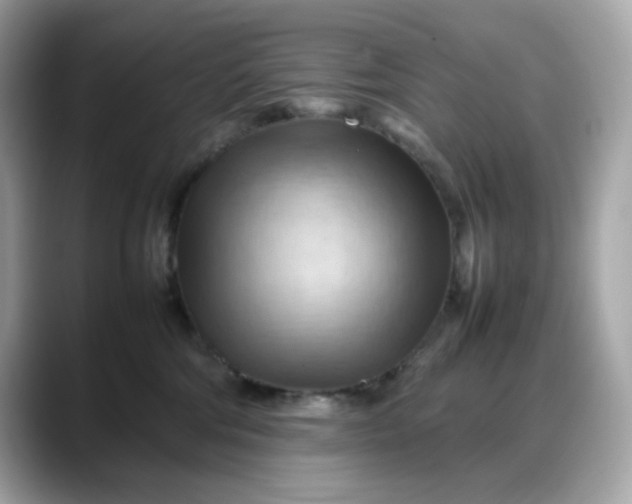 X0000088370330200706051046