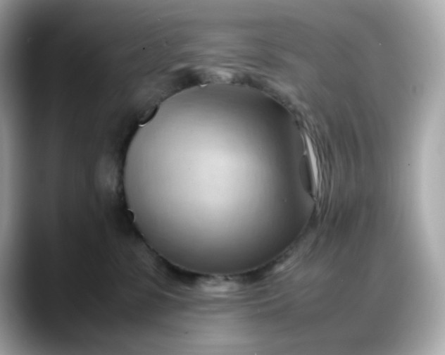X0000088370331200706051046