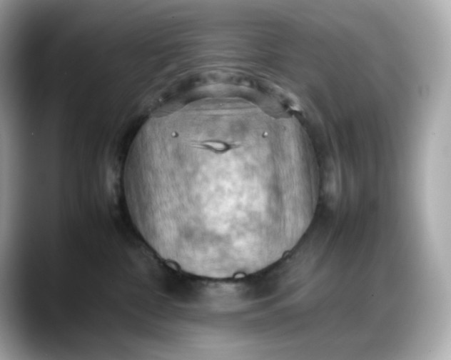 X0000088370332200706051046