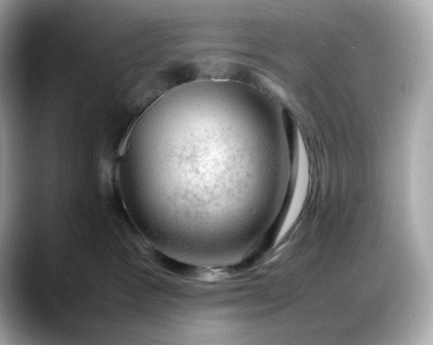 X0000088370333200706051046